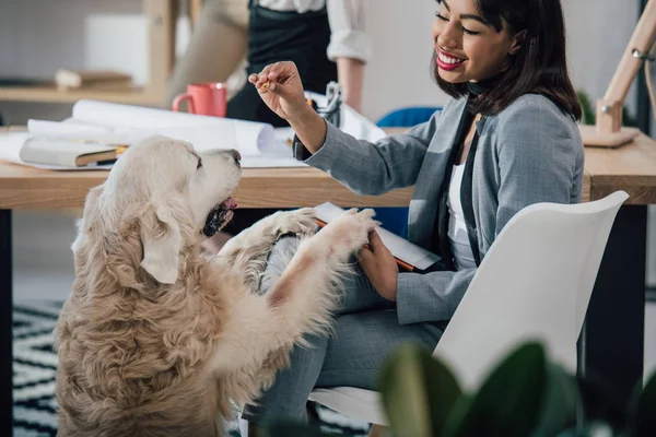 Empresária brincando com cachorro — Fotografia de Stock