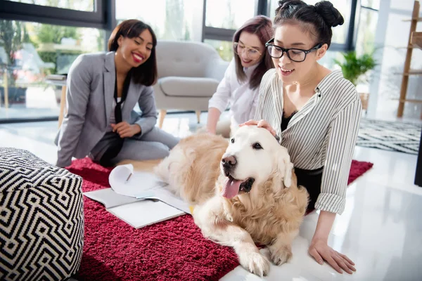 Mujeres de negocios multiétnicas acariciando perro en oficina - foto de stock