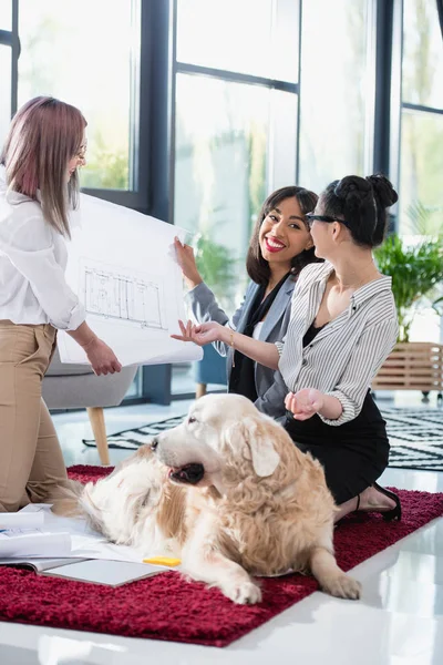 Multiethnische Geschäftsfrauen betrachten Blaupause mit Hund — Stockfoto
