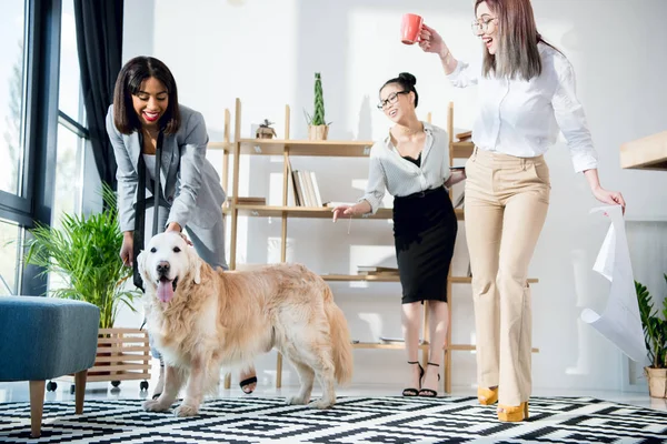 Деловые женщины развлекаются с собакой в офисе — стоковое фото