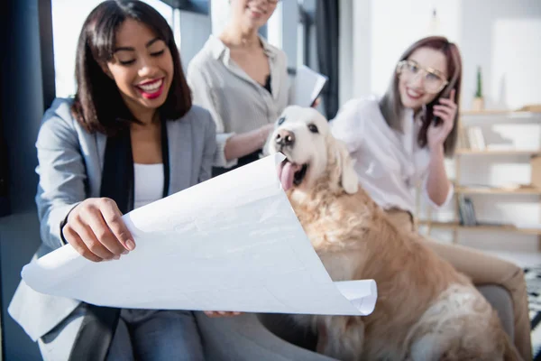 Multiethnic businesswomen showing blueprint to dog — Stock Photo