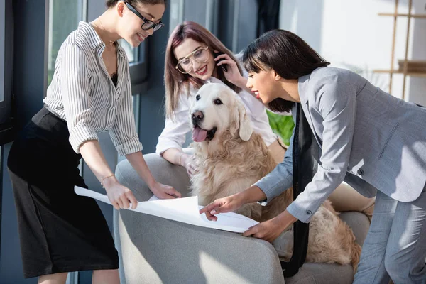 Donne d'affari multietniche che mostrano il progetto al cane — Foto stock