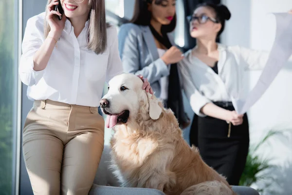 Mujer de negocios hablando en el teléfono inteligente mientras acaricia perro - foto de stock