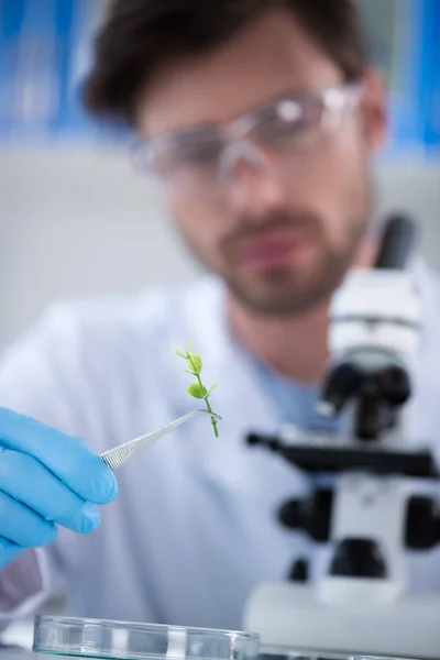 Scientist at biological laboratory — Stock Photo