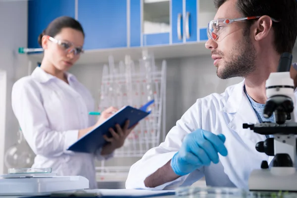 Scientists during work at laboratory — Stock Photo