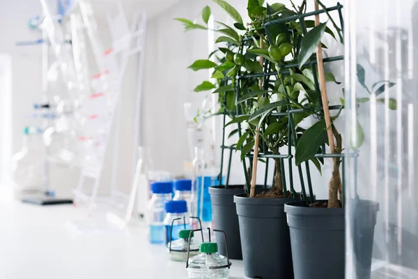 Ferramentas científicas em laboratório — Fotografia de Stock
