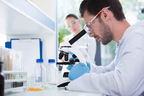 Male scientist at laboratory — Stock Photo