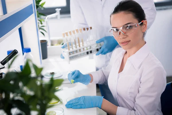 Cientista feminina em laboratório — Fotografia de Stock