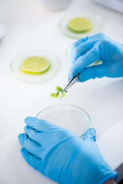 Scientifique pendant son travail dans un laboratoire moderne — Photo de stock