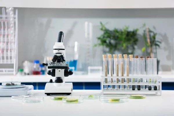 Ferramentas científicas em laboratório — Fotografia de Stock