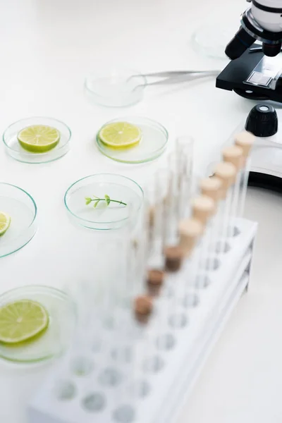 Ferramentas científicas em laboratório — Fotografia de Stock