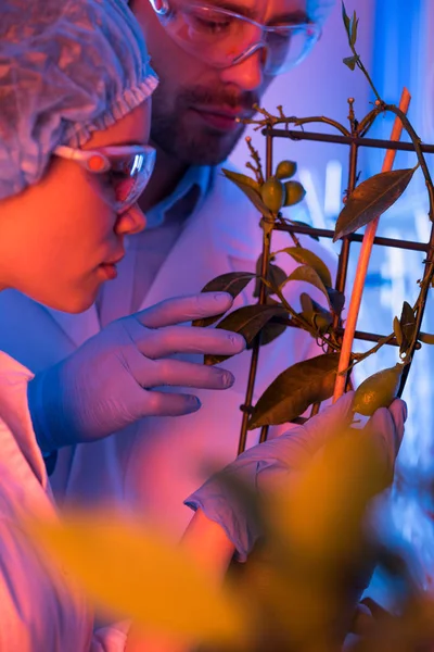 Scienziati durante il lavoro in laboratorio — Foto stock