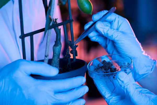 Cientistas durante o trabalho em laboratório — Fotografia de Stock