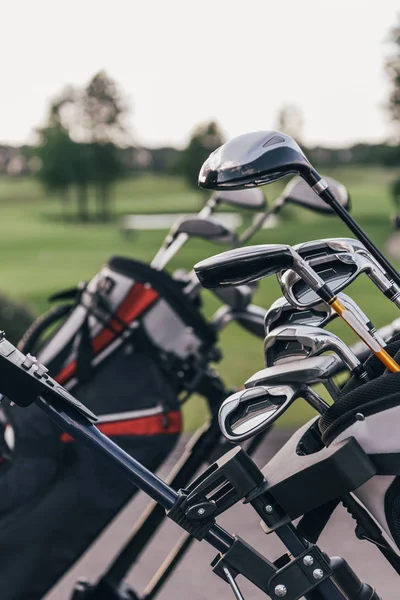 Golf clubs in bags — Stock Photo