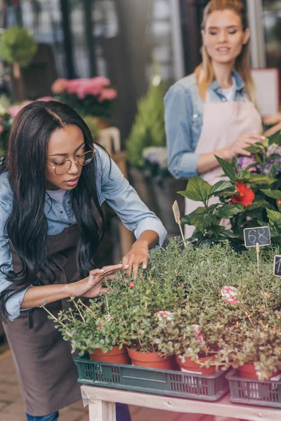 Fleuristes multiethniques dans la boutique de fleurs — Photo de stock