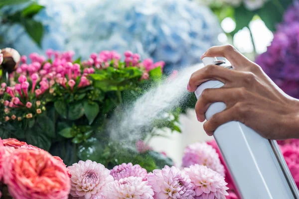 Blumenhändler sprüht Blumen — Stockfoto