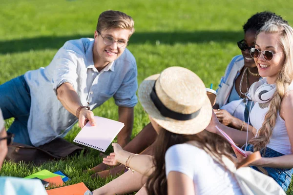 Estudiantes multiétnicos estudiando en el parque - foto de stock