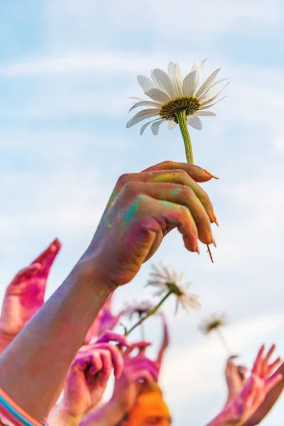 Friends holding chamomiles — Stock Photo