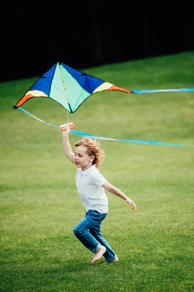 Garçon jouer avec cerf-volant au parc — Photo de stock