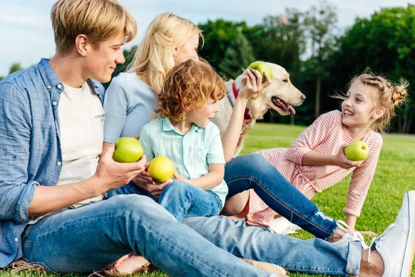 Familia comiendo manzanas en el picnic - foto de stock