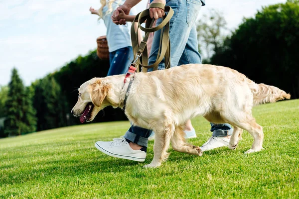 Glückliche Familie mit Hund im Park — Stockfoto