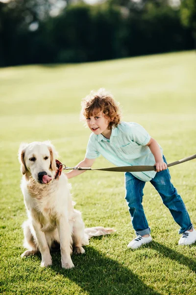 Junge spielt mit Hund im Park — Stockfoto