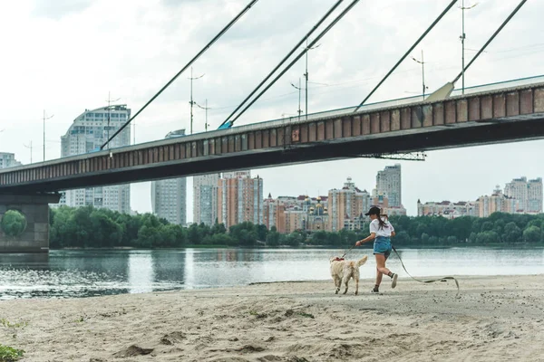 Donna con cane sulla spiaggia — Foto stock