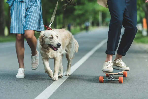 Couple riding on board with dog — Stock Photo