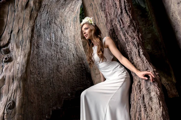 Hermosa novia en corona de flores - foto de stock