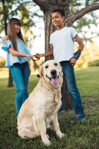 Multiethnic teens with dog — Stock Photo