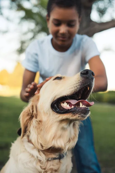 African american teenager with dog — Stock Photo