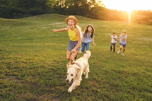 Підлітки з собакою ходять в парку — Stock Photo