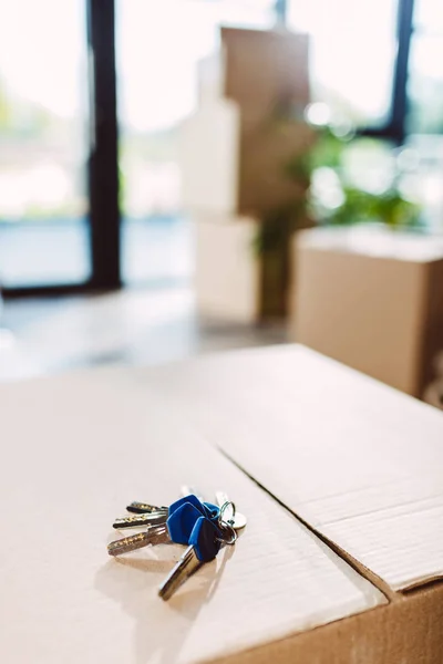 Keys on cardboard box — Stock Photo