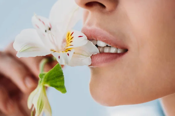 Жінка зі свіжою шкірою з лілією в губах — стокове фото