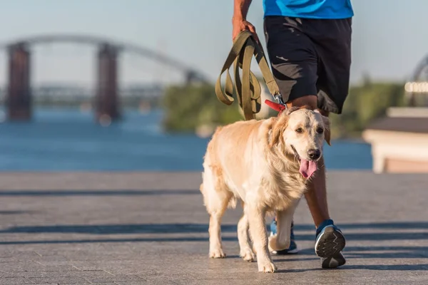 Deportista caminando con perro - foto de stock