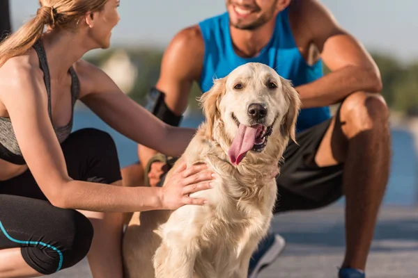 Pareja de deportes con perro - foto de stock