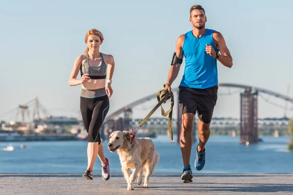 Esportes casal jogging com cão — Fotografia de Stock