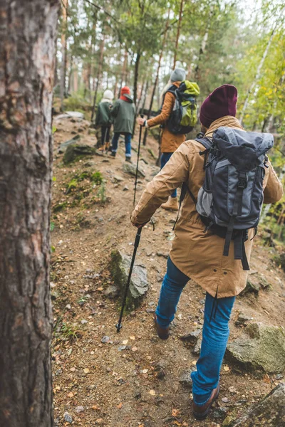 Padres e hijos trekking en el bosque - foto de stock