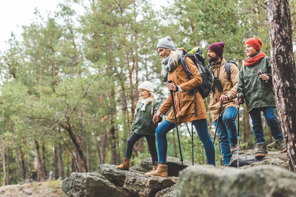 Famille debout sur le rocher dans la forêt — Photo de stock