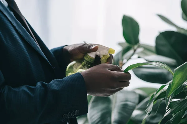 Tiro cortado de empresário regando folhas de planta no escritório — Fotografia de Stock