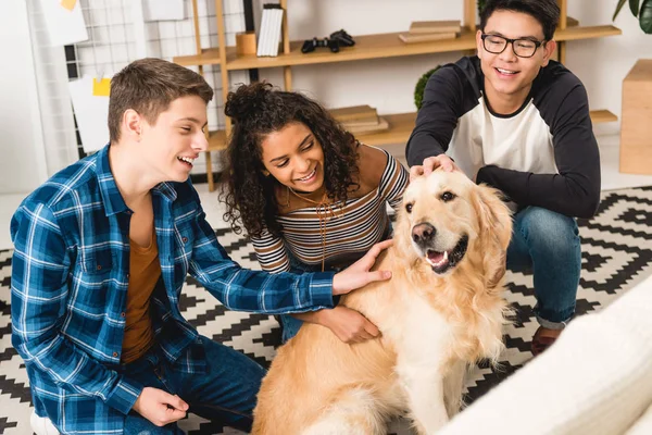 Happy multiethnic teens palming dog at home — Stock Photo