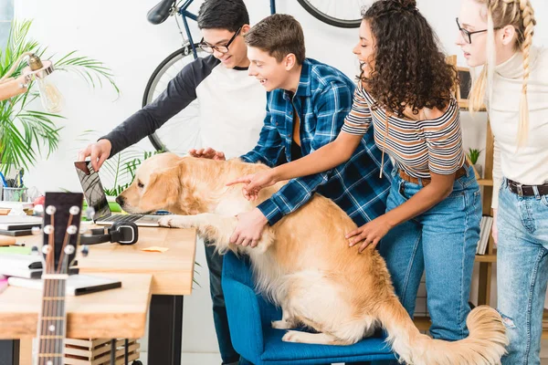 Happy multicultural teenagers showing something on laptop to pet — Stock Photo