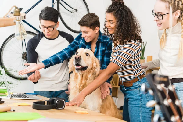 Smiling multicultural teenagers showing something on laptop to dog — Stock Photo