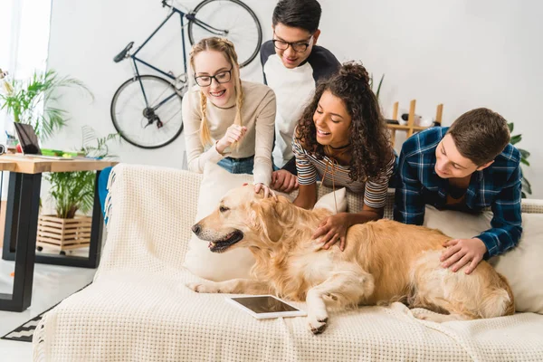 Feliz multiétnico adolescentes palming perro - foto de stock