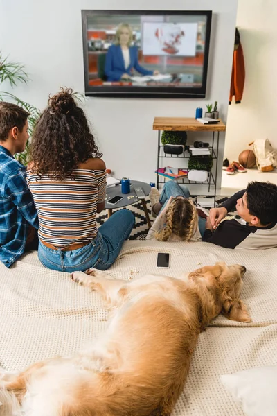 Teenager sehen Nachrichten und Hund im Bett liegen — Stockfoto