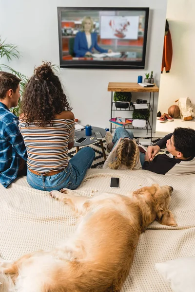 Adolescentes viendo noticias y perro acostado en la cama - foto de stock