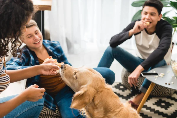 African american girl giving piece of pizza to dog — Stock Photo