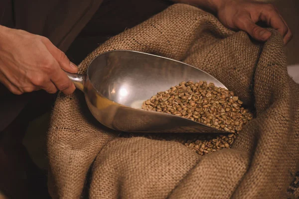 Partial view of worker gathering coffee beans with metal scoop from sack bag — Stock Photo