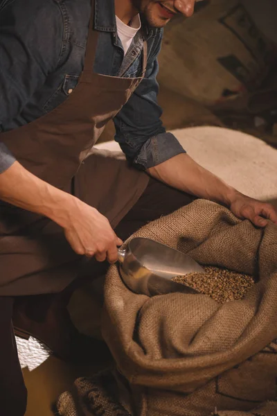 Частковий вид на працівника, що збирає кавові зерна з металевою ложечкою з мішка — стокове фото