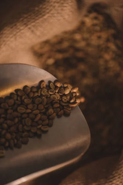 Close up view of roasted coffee beans on metal scoop — Stock Photo